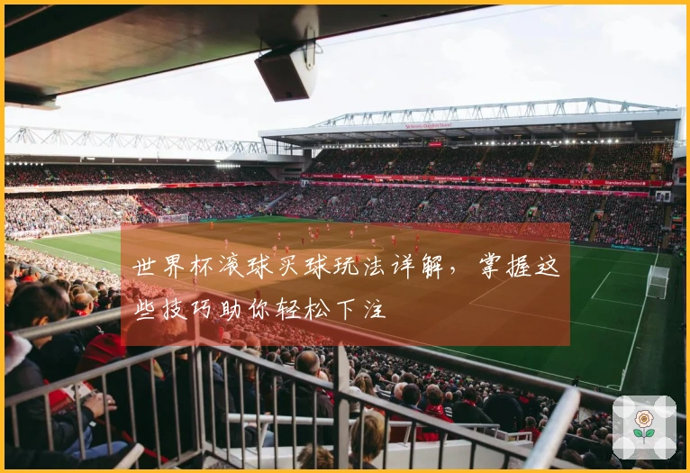 世界杯滚球买球玩法详解，掌握这些技巧助你轻松下注