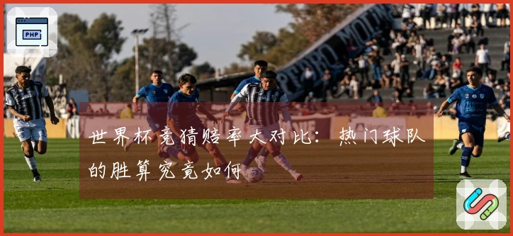 世界杯竞猜赔率大对比：热门球队的胜算究竟如何