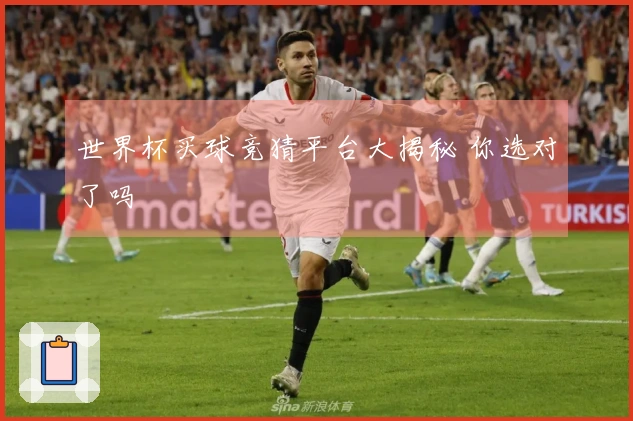 世界杯买球竞猜平台大揭秘 你选对了吗