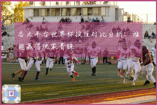 各大平台世界杯投注对比分析：谁能赢得玩家青睐