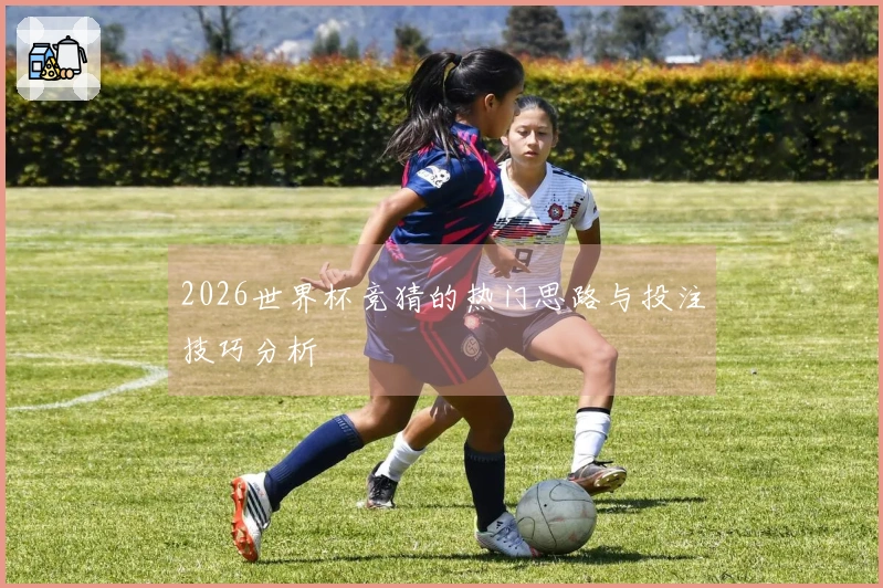 2026世界杯竞猜的热门思路与投注技巧分析