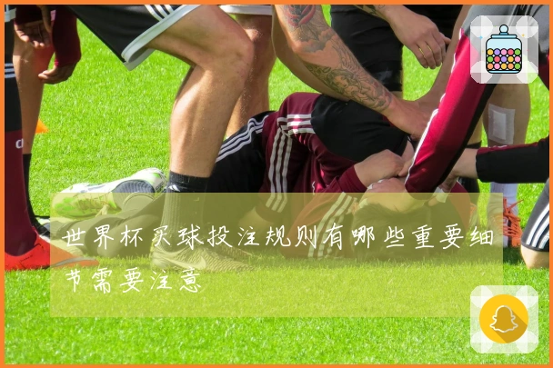 世界杯买球投注规则有哪些重要细节需要注意