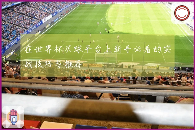 在世界杯买球平台上新手必看的实战技巧与推荐