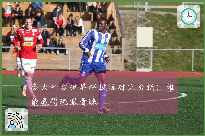 各大平台世界杯投注对比分析：谁能赢得玩家青睐