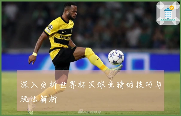 深入分析世界杯买球竞猜的技巧与玩法解析
