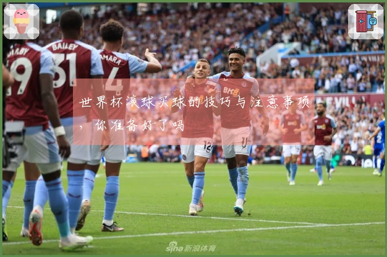 世界杯滚球买球的技巧与注意事项，你准备好了吗