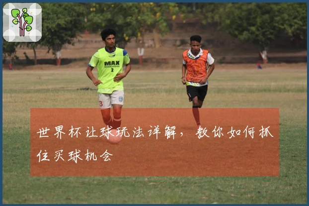 世界杯让球玩法详解，教你如何抓住买球机会