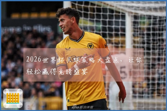 2026世界杯买球策略大盘点，让你轻松赢得竞猜盛宴
